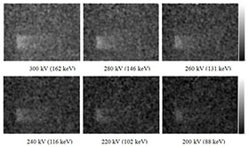 エネルギーの異なるX線の発光画像(右)